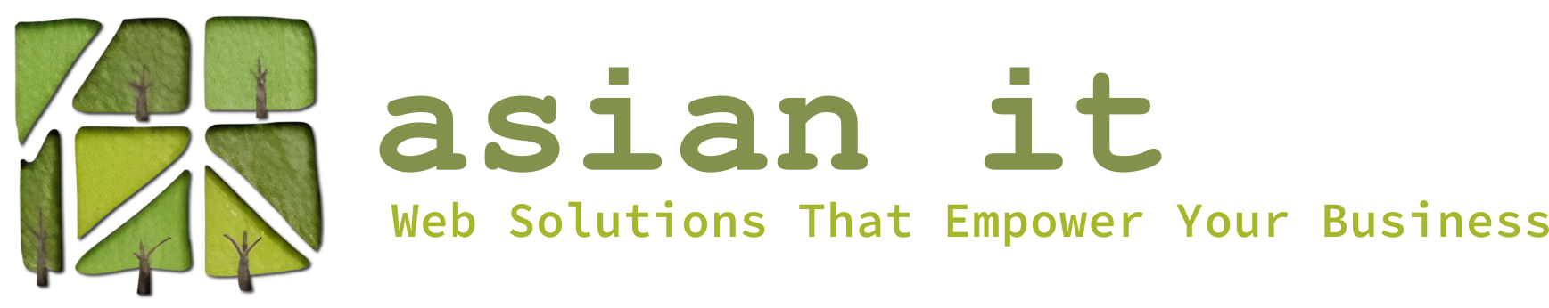 Asian IT Agency — Web & Digital Solutions