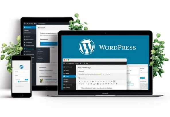 WordPress vs Custom Website – Asian IT