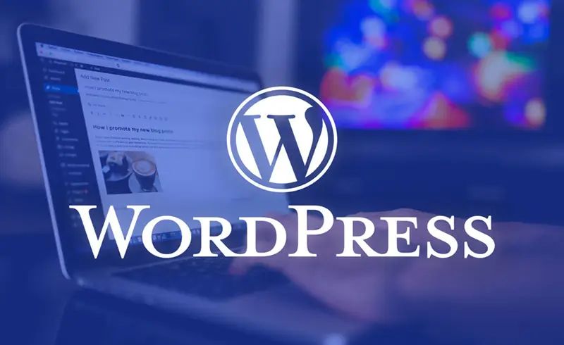 WordPress vs Custom Website – Asian IT